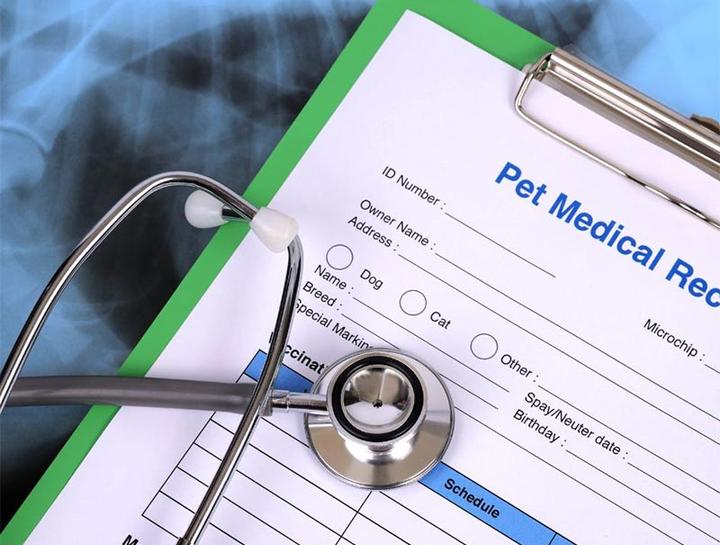 Pet Portal North Carrollton Veterinary Hospital