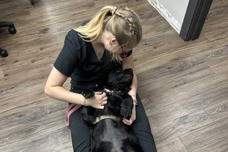 Tech with dog