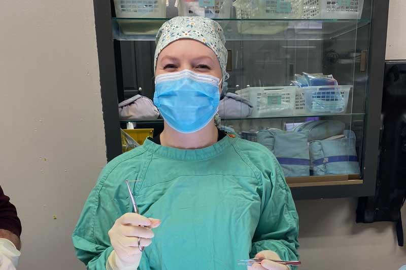 Surgery veterinarian