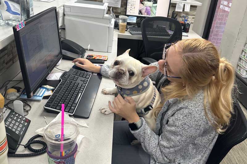 Dog at a computer