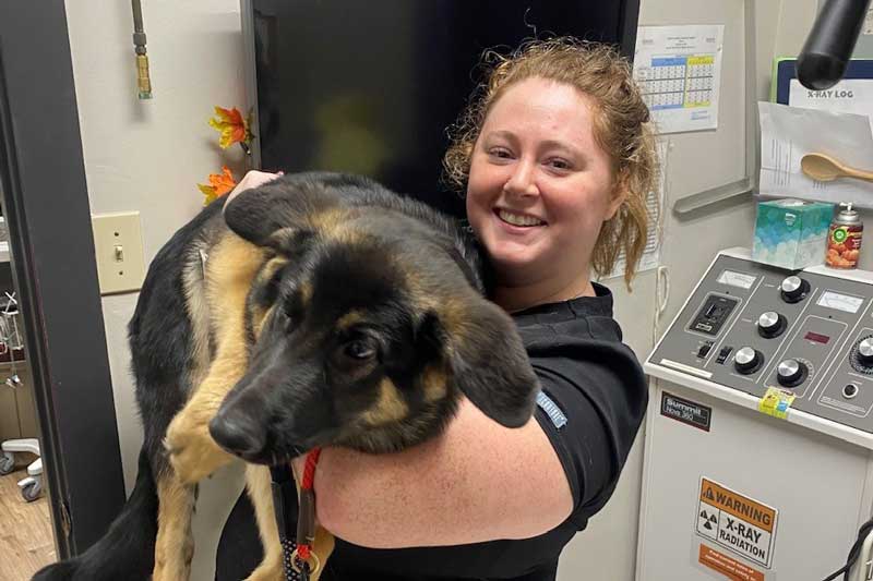 Holding a large puppy