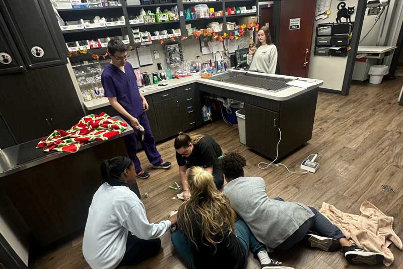 Techs working together