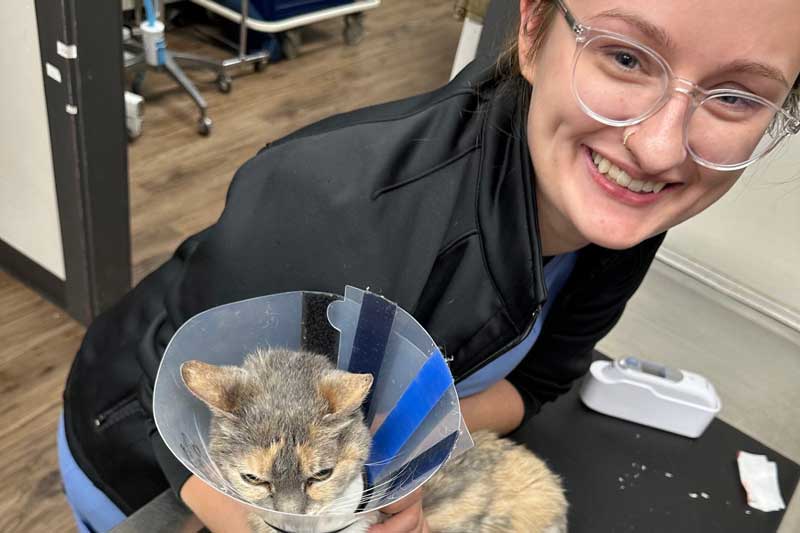 Helping a cat
