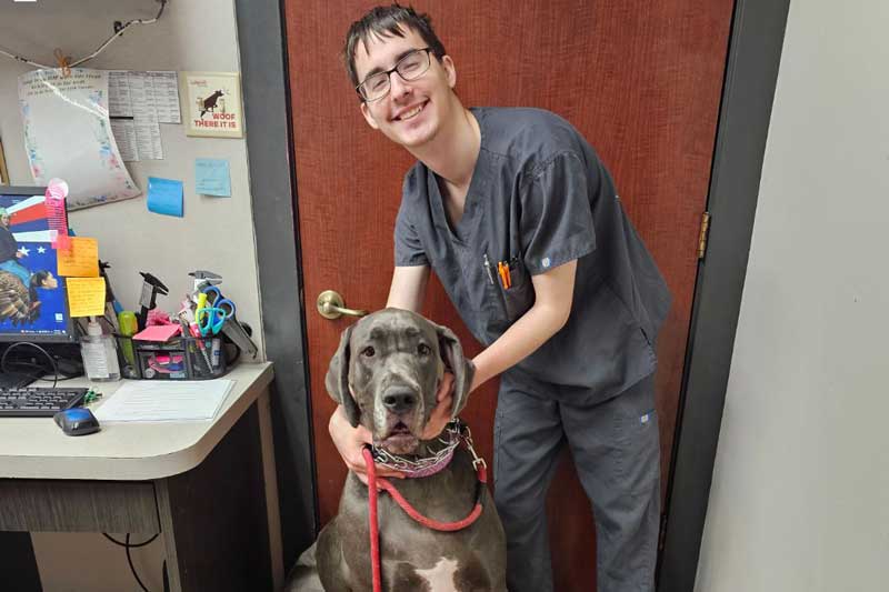 Tech and great dane