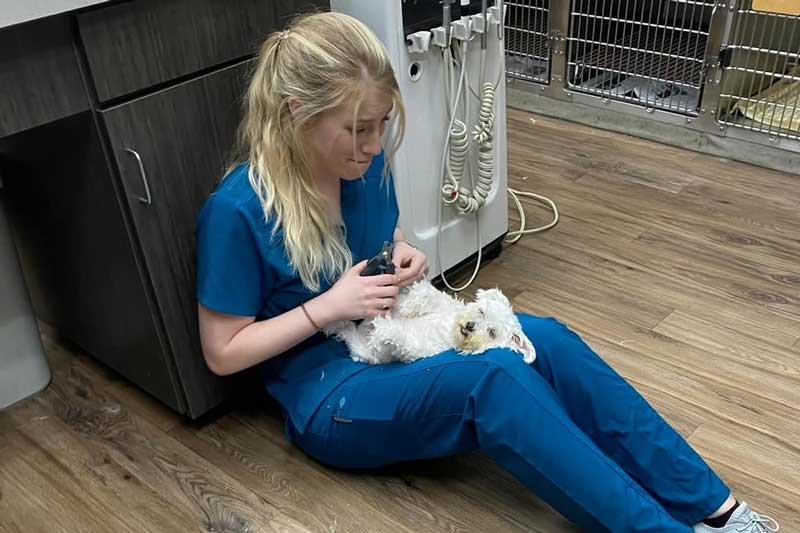 Trimming nails