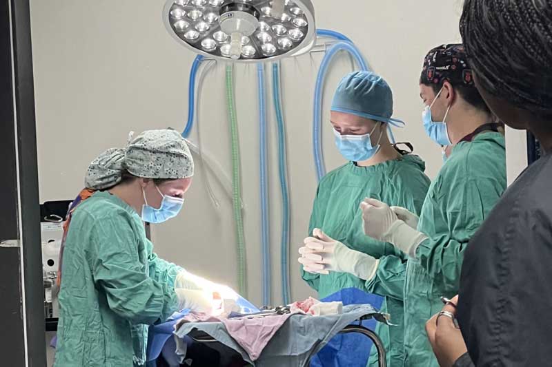 Performing surgery