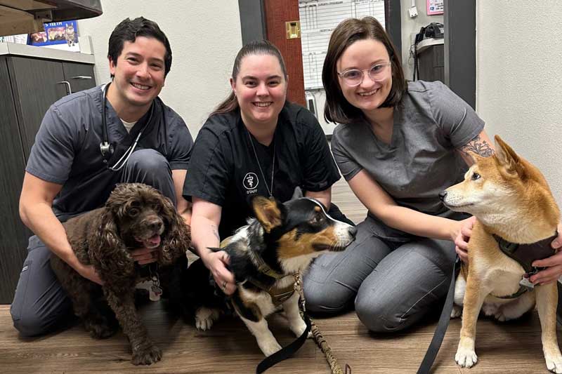 Smiling staff and pets